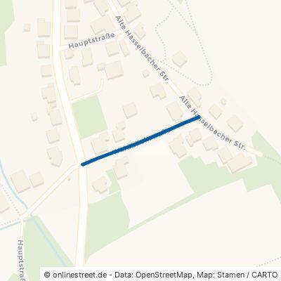 Waldblickstraße 74924 Neckarbischofsheim 