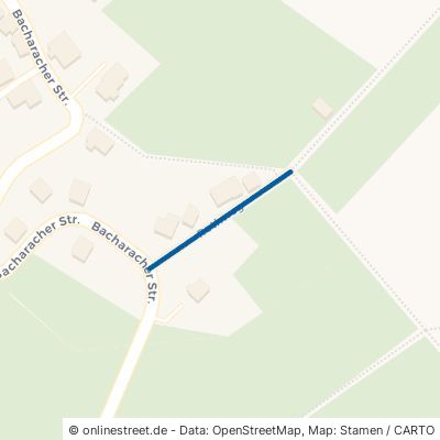 Rothweg 55494 Erbach 