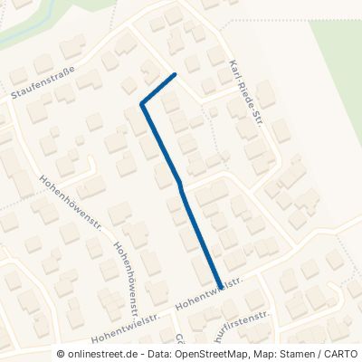Karl-Geißler-Straße 78247 Hilzingen 