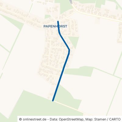 Dannhorstweg 29336 Nienhagen Papenhorst 