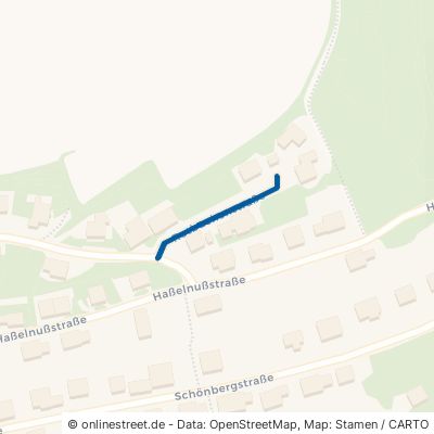 Rotbuchenstraße 97500 Ebelsbach Gleisenau 