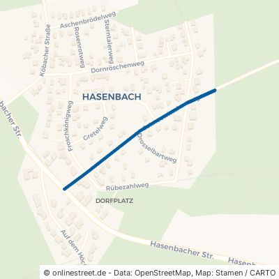 Schneewittchenweg 53819 Neunkirchen-Seelscheid Hasenbach 