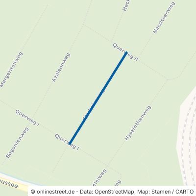 Gladiolenweg Dessau-Roßlau Törten 
