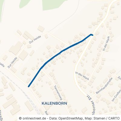 Bucherfelder Weg Vettelschoß Kalenborn 