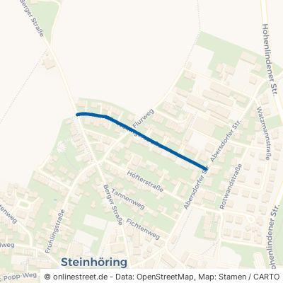 Wöllingerstraße 85643 Steinhöring 