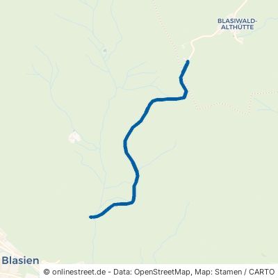 Alter Blasiwalder Weg 79837 Sankt Blasien Saint Blasien 