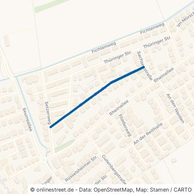 Berliner Straße 55294 Bodenheim 