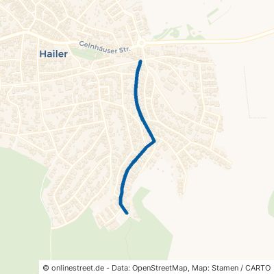 Reinhardstraße Gelnhausen Hailer 