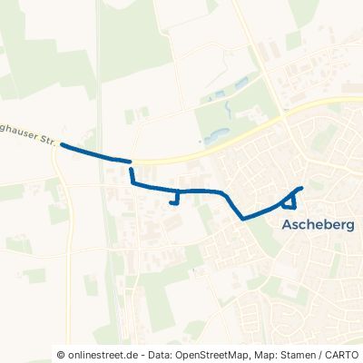 Lüdinghauser Straße 59387 Ascheberg 