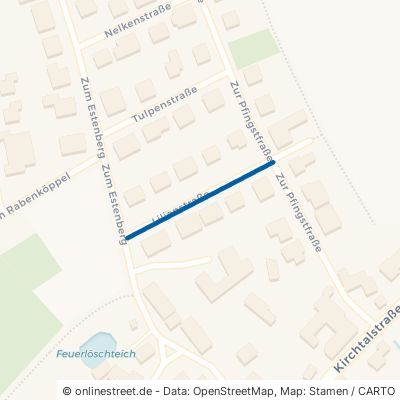 Lilienstraße Vöhl Buchenberg 