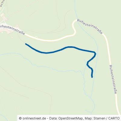 Alte Ruhesteinstraße/Terrainkurweg Baiersbronn 