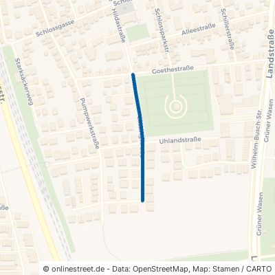 Lessingstraße 69502 Hemsbach 