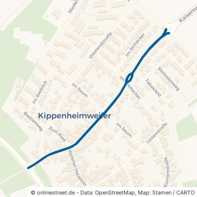 Kaiserswaldstraße Lahr Kippenheimweiler 