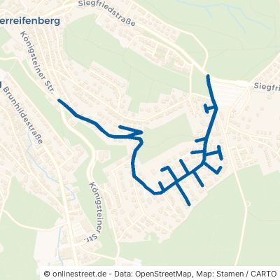 Feldbergstraße Schmitten Oberreifenberg 