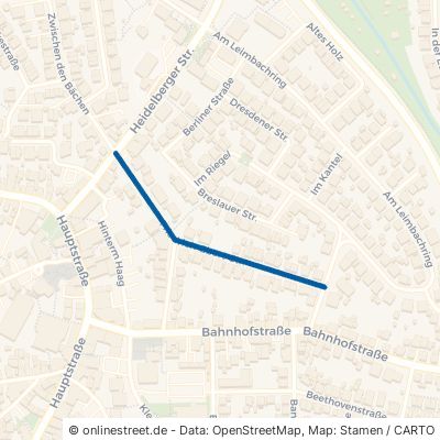 Friedrich-Ebert-Straße 69207 Sandhausen 