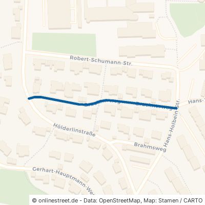 Brucknerweg Siegen Weidenau 