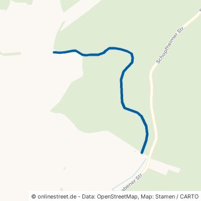 Schlattweg Rheinfelden Minseln 