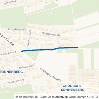 Eugen-Nägele-Straße 71638 Ludwigsburg Ost 