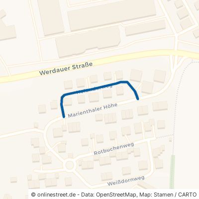 Holunderweg Zwickau Marienthal 