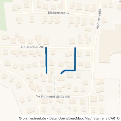 Carl-Krieger-Weg Kraichtal Menzingen 