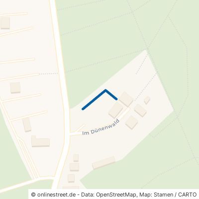 Fußweg Dünenvilla Sommerhaus 18586 Mönchgut Thiessow 