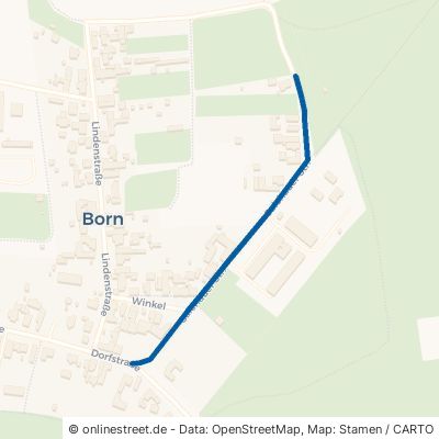 Salchauer Straße Westheide Born 