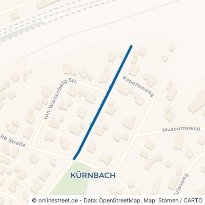 Schenk-Ulrich-Straße Bad Schussenried Kürnbach 