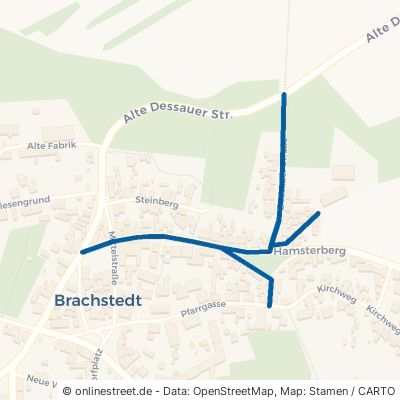 Dessauer Straße Petersberg Brachstedt 