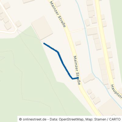 Prof.-Schlossmacher-Straße Idar-Oberstein Idar 