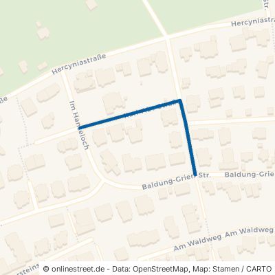 Karl-Abt-Straße Pforzheim Südweststadt 