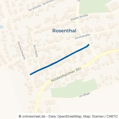 Elstertorstraße Peine Rosenthal 
