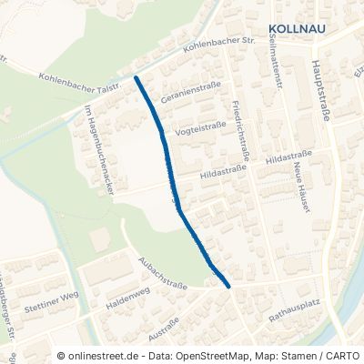 Schloßbergstraße 79183 Waldkirch Kollnau 