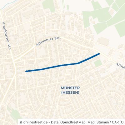 Wilhelm-Lehr-Straße 64839 Münster Münster 