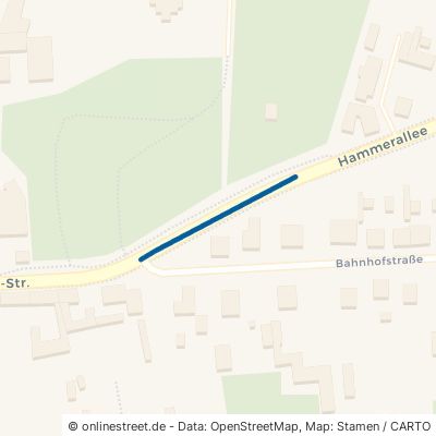 Hammerallee 16559 Liebenwalde 