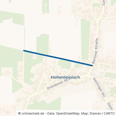 Gartenstraße 04934 Hohenleipisch 