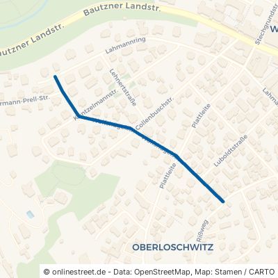 Wolfshügelstraße Dresden Bühlau/Weißer Hirsch 