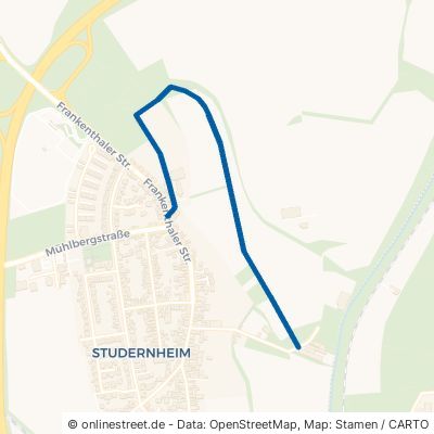 Eichwiesenweg Frankenthal Studernheim 