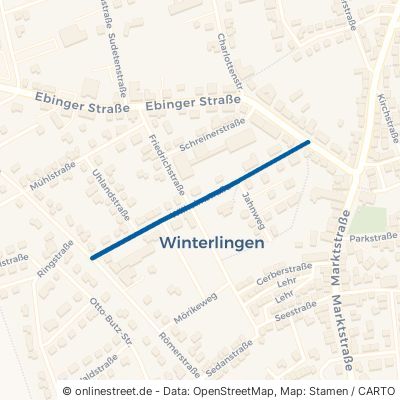 Wilhelmstraße Winterlingen 