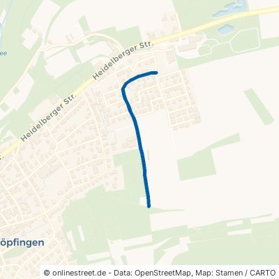 Bürgermeister-Schell-Straße 74746 Höpfingen 