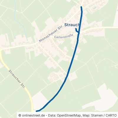 Kesternicher Straße 52152 Simmerath Strauch Strauch