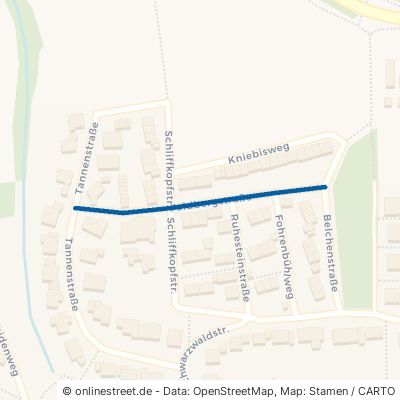 Feldbergstraße 71083 Herrenberg 