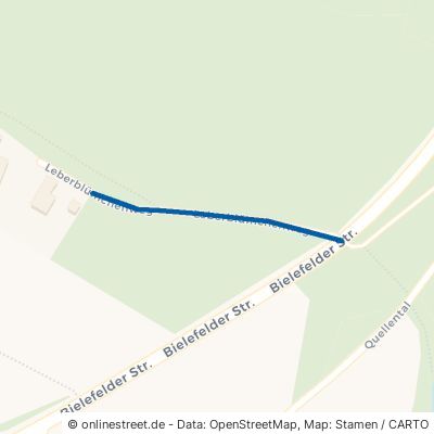 Leberblümchenweg 33803 Steinhagen 