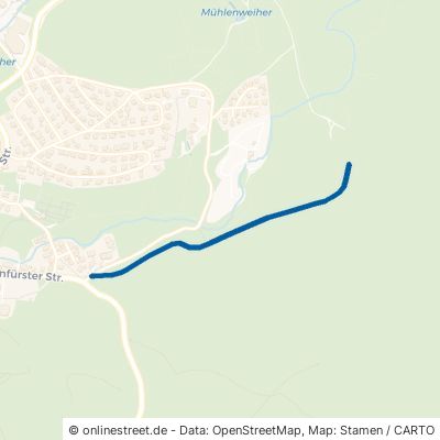 Spannerhausweg Schluchsee 