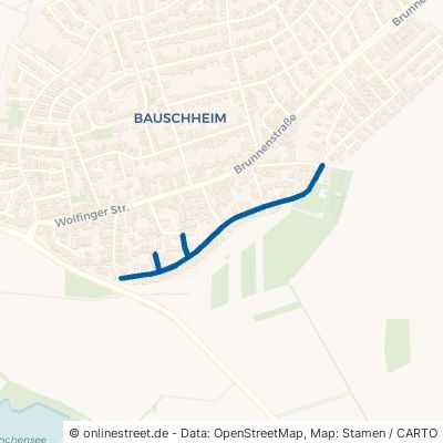 Im Dorfband Rüsselsheim am Main Bauschheim 