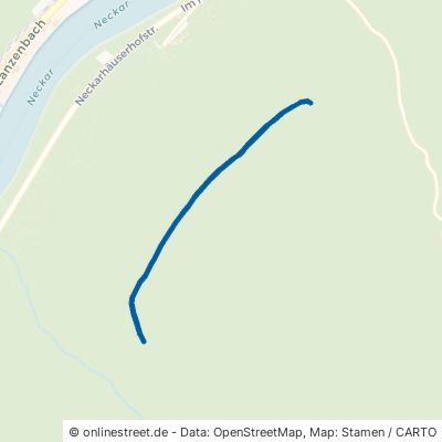 Felsenweg Neckargemünd Mückenloch 