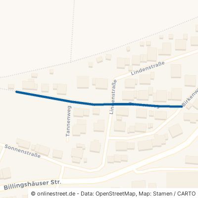 Tannenweg Birkenfeld 