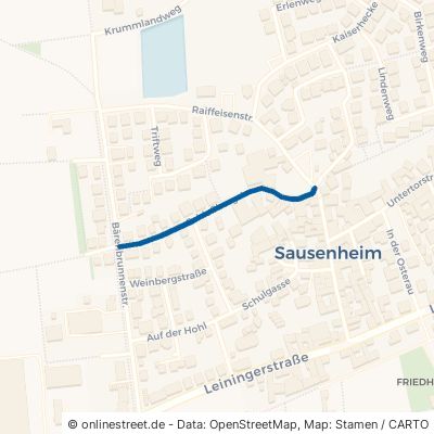 Schloßbergstraße Grünstadt Sausenheim 
