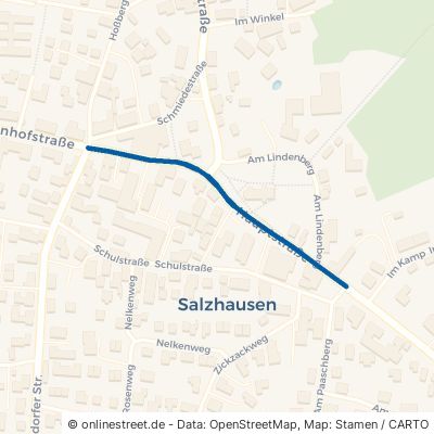 Hauptstraße 21376 Salzhausen Salzhausen 