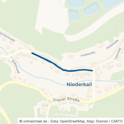 Karl-Kaufmann-Straße Landscheid Niederkail 