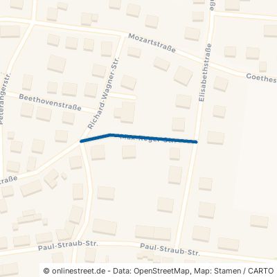 Max-Reger-Straße 95643 Tirschenreuth 